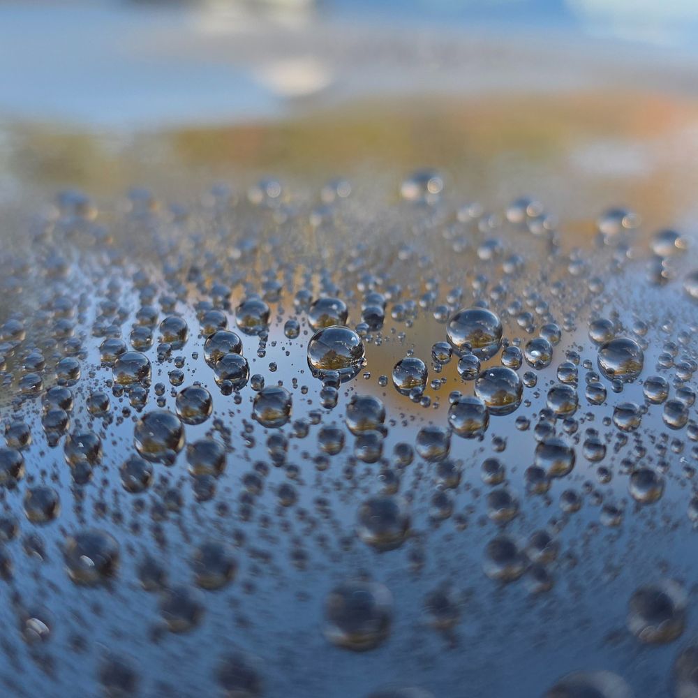 Chief Detailing Officer